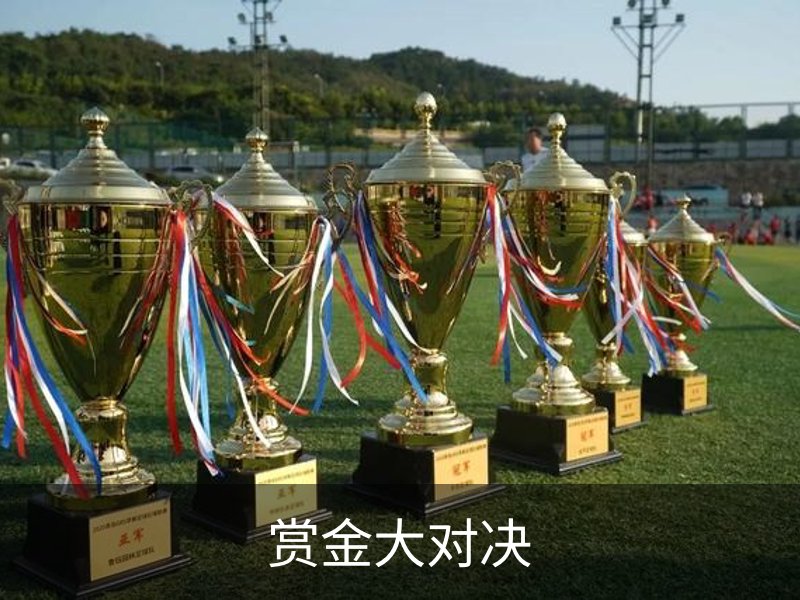 赏金大对决概况